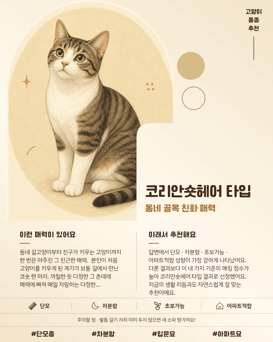 코리안숏헤어 타입 카드 이미지