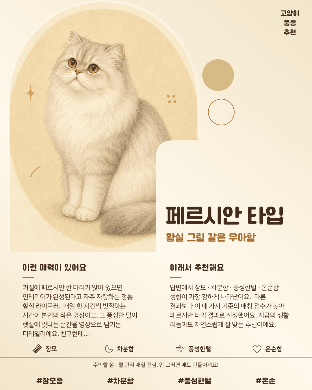 페르시안 타입 카드 이미지