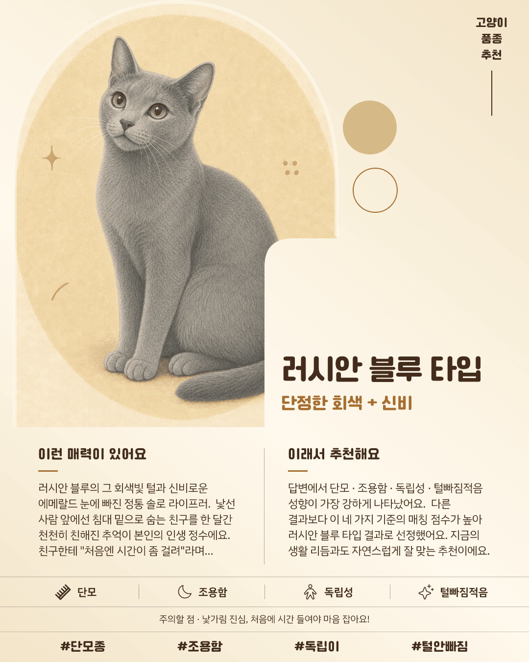 러시안 블루 타입 카드 이미지