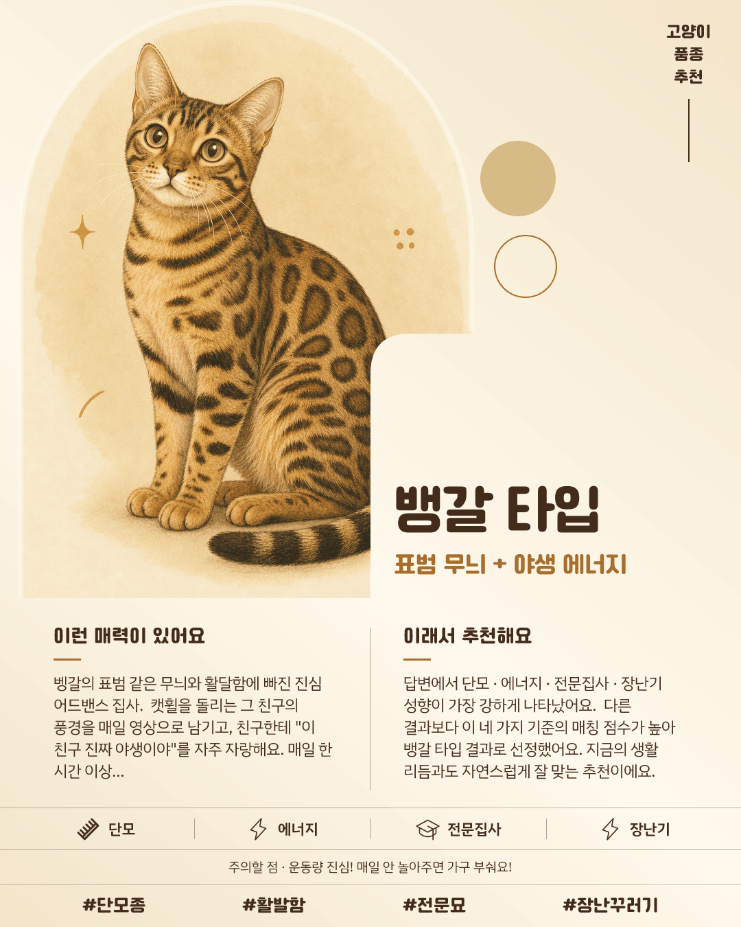 뱅갈 타입 카드 이미지