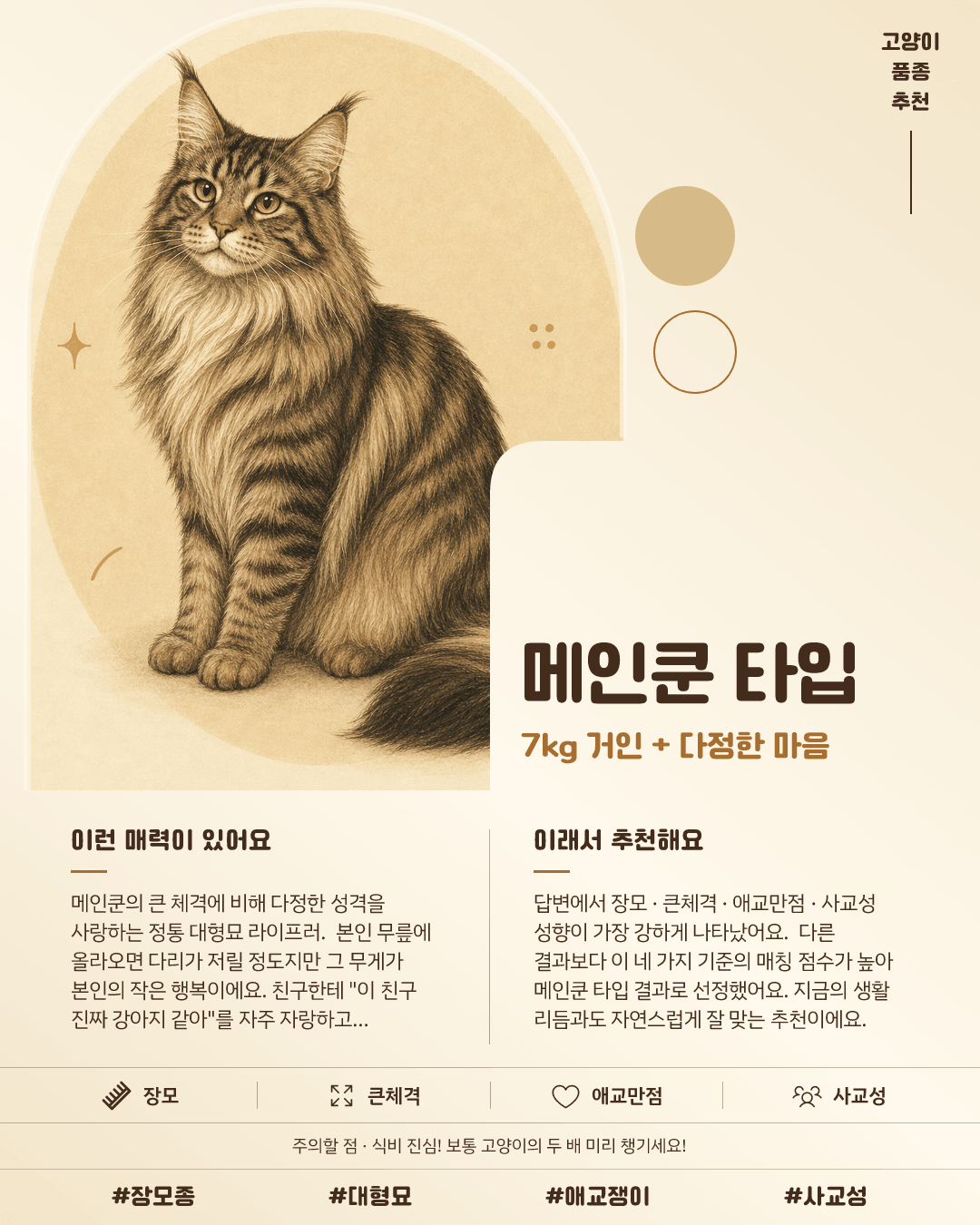 메인쿤 타입 카드 이미지