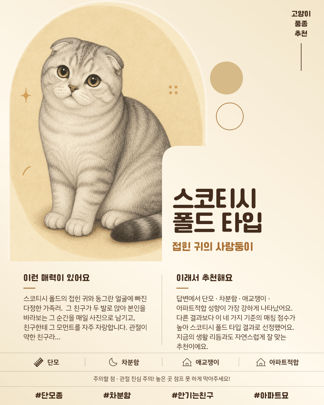 스코티시 폴드 타입 카드 이미지