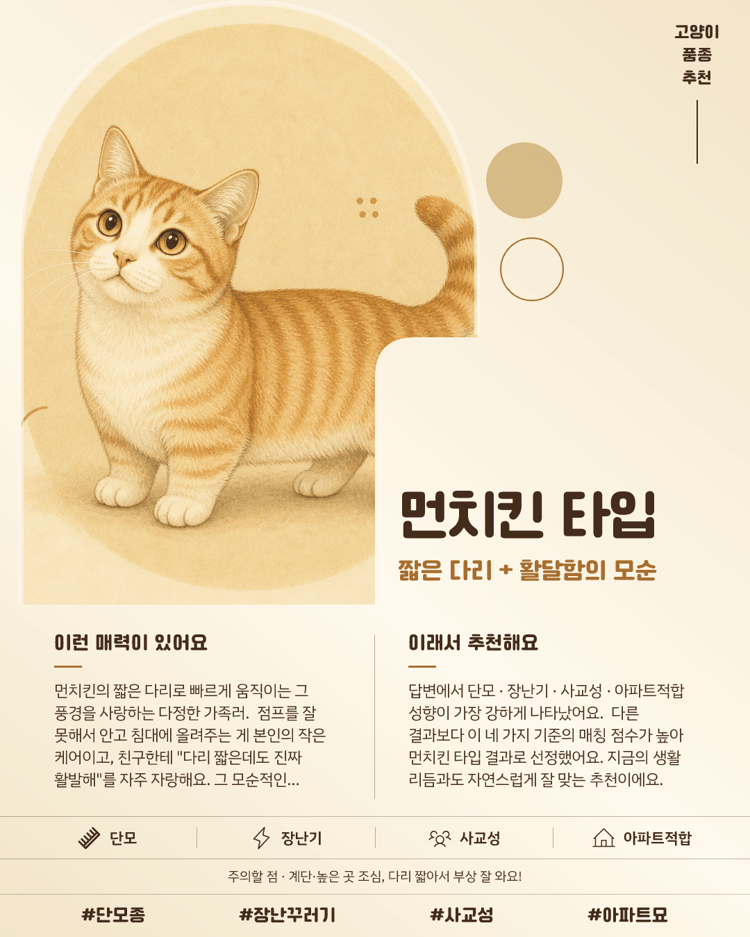 먼치킨 타입 카드 이미지