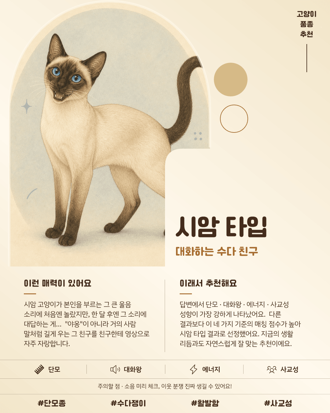 시암 타입 카드 이미지