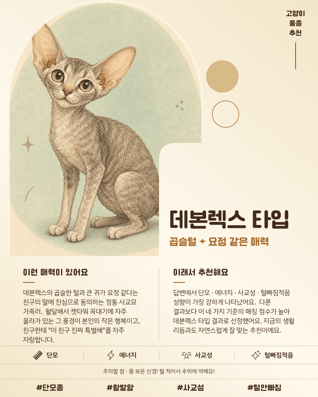데본렉스 타입 카드 이미지