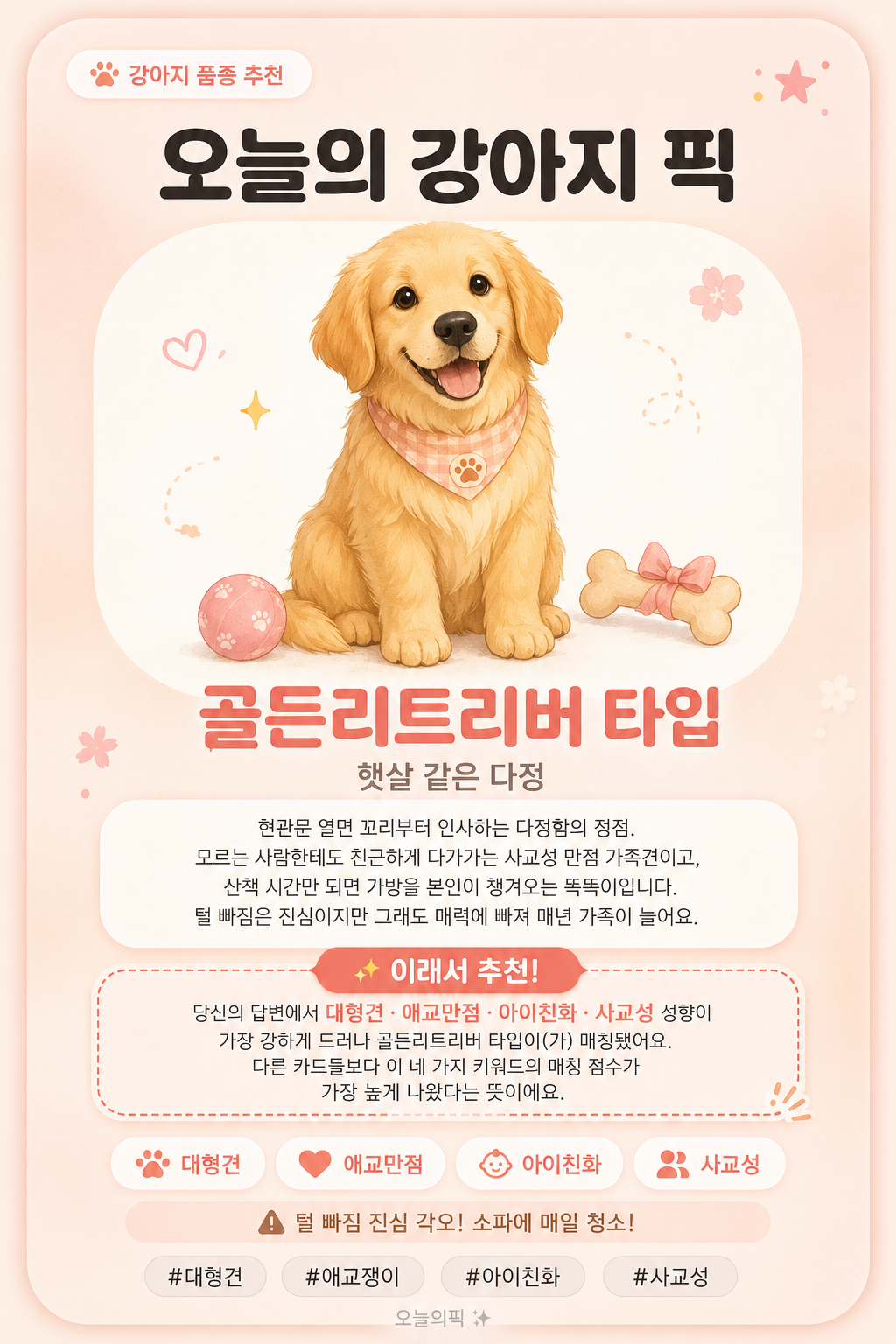 골든리트리버 타입 카드 이미지