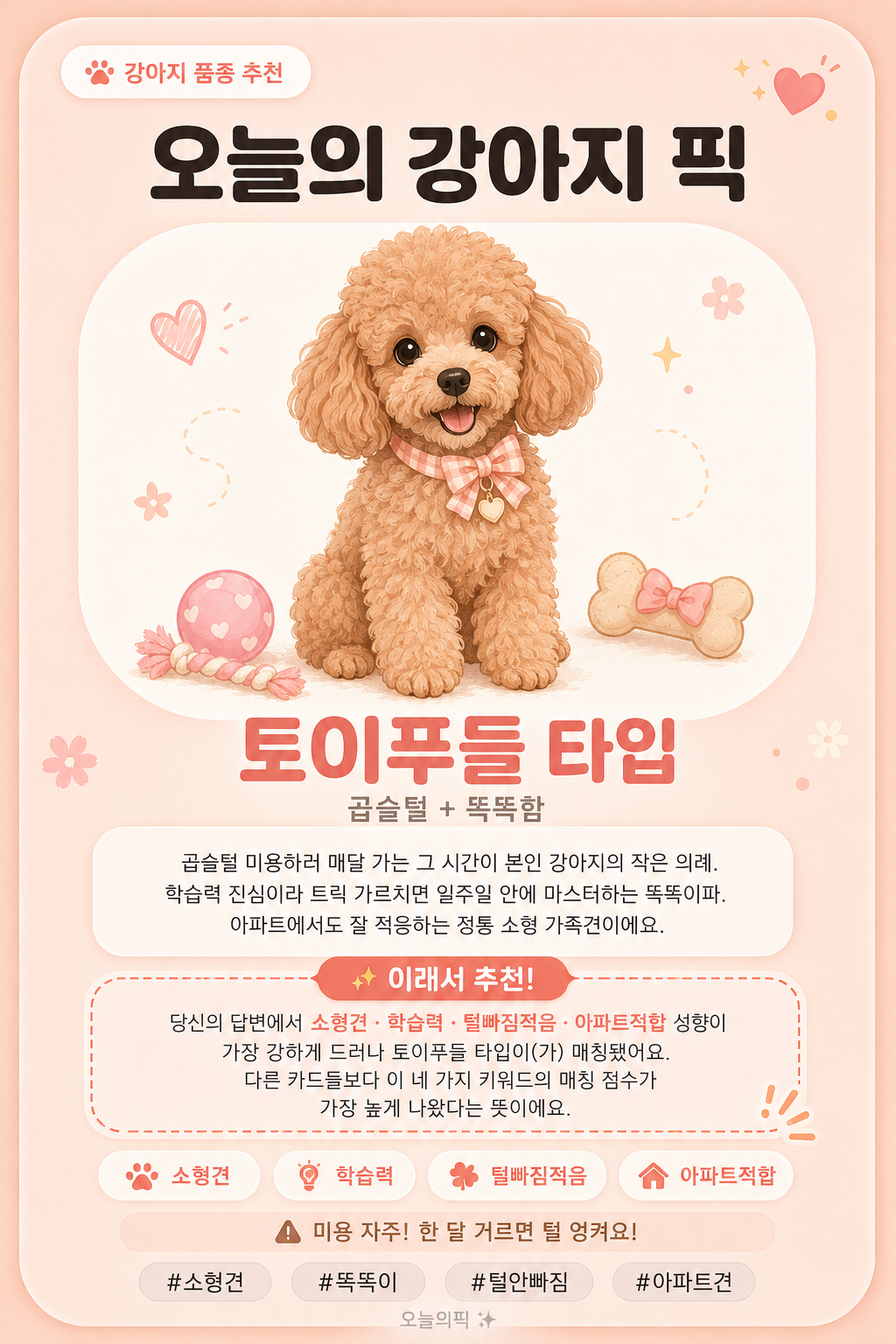 토이푸들 타입 카드 이미지