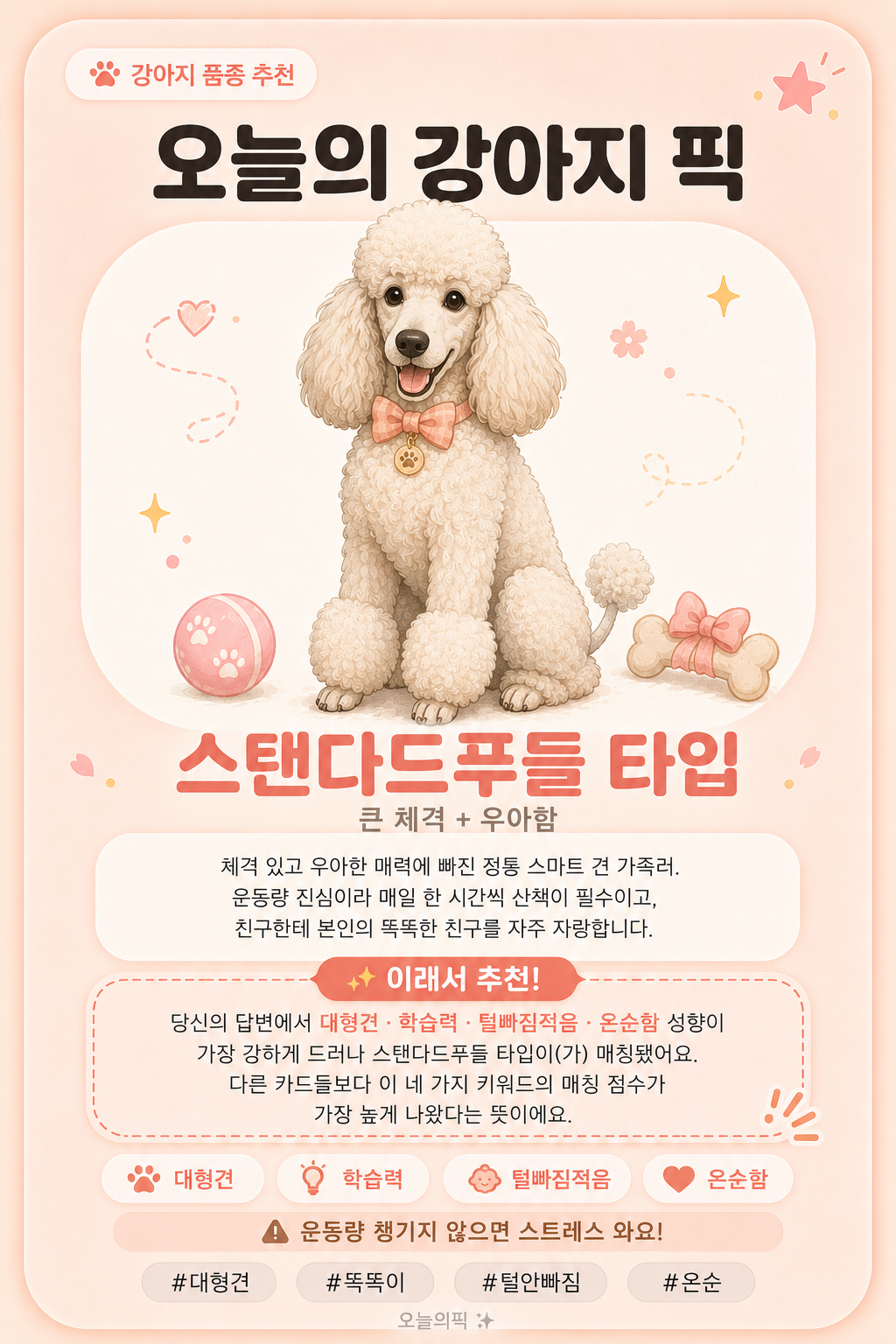스탠다드푸들 타입 카드 이미지