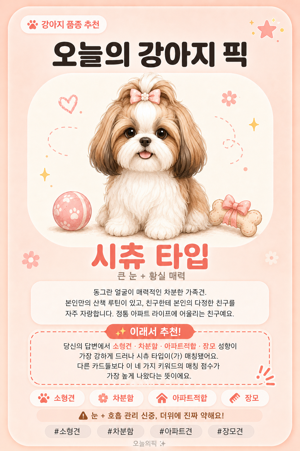 시츄 타입 카드 이미지