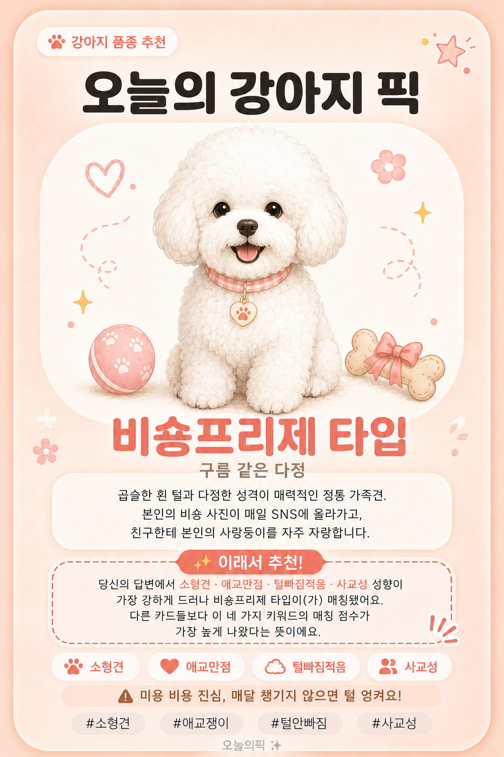 비숑프리제 타입 카드 이미지