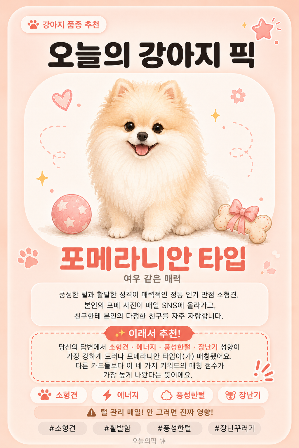 포메라니안 타입 카드 이미지