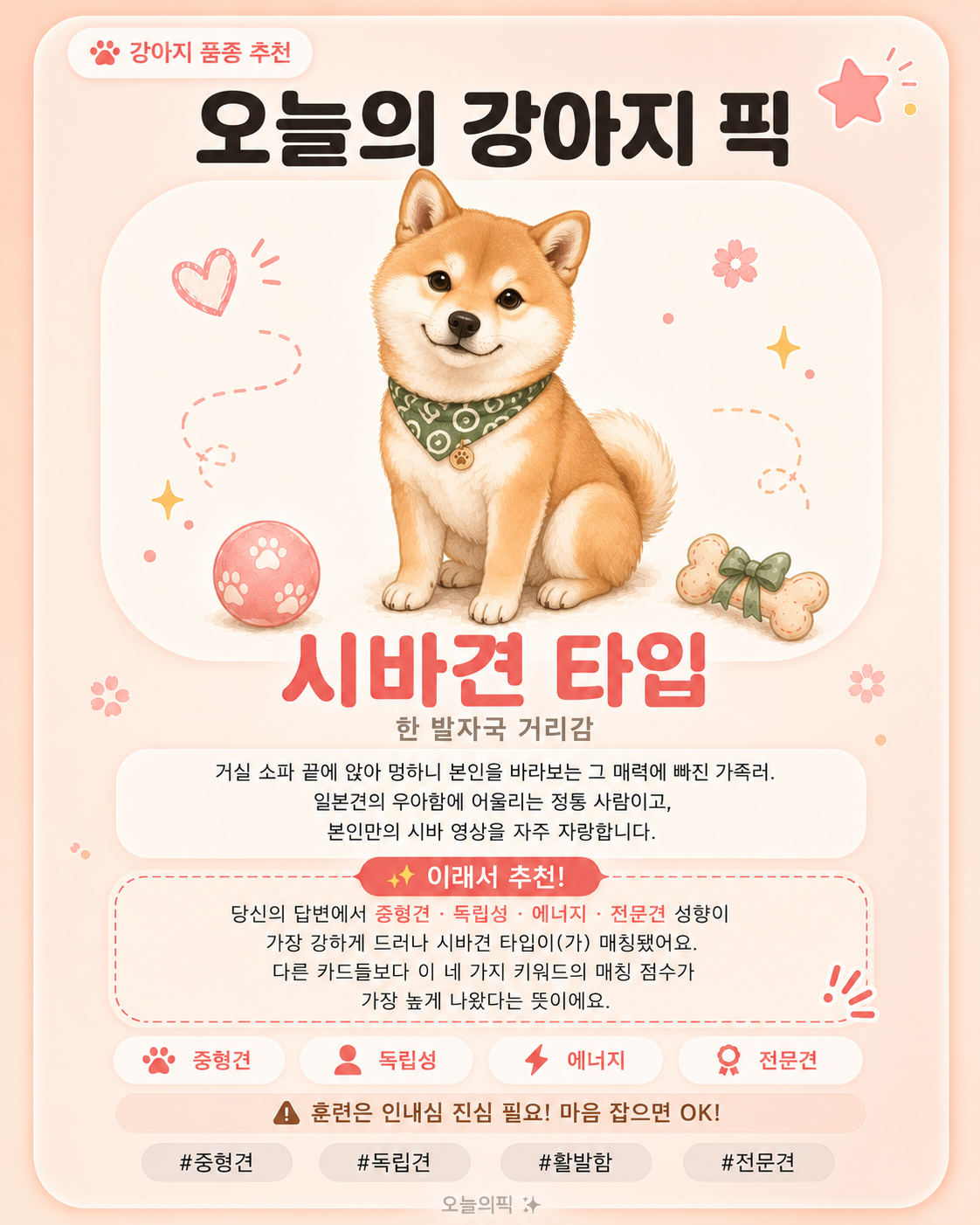 시바견 타입 카드 이미지