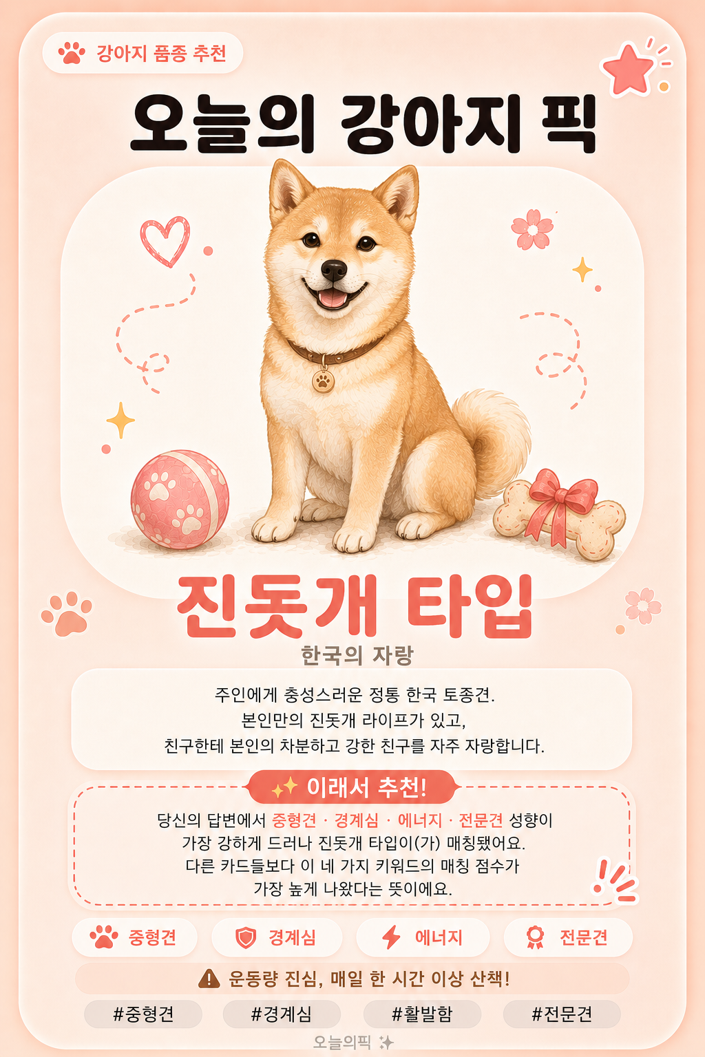 진돗개 타입 카드 이미지