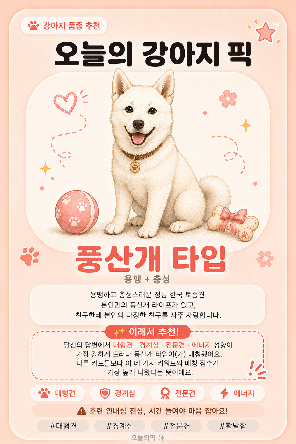 풍산개 타입 카드 이미지