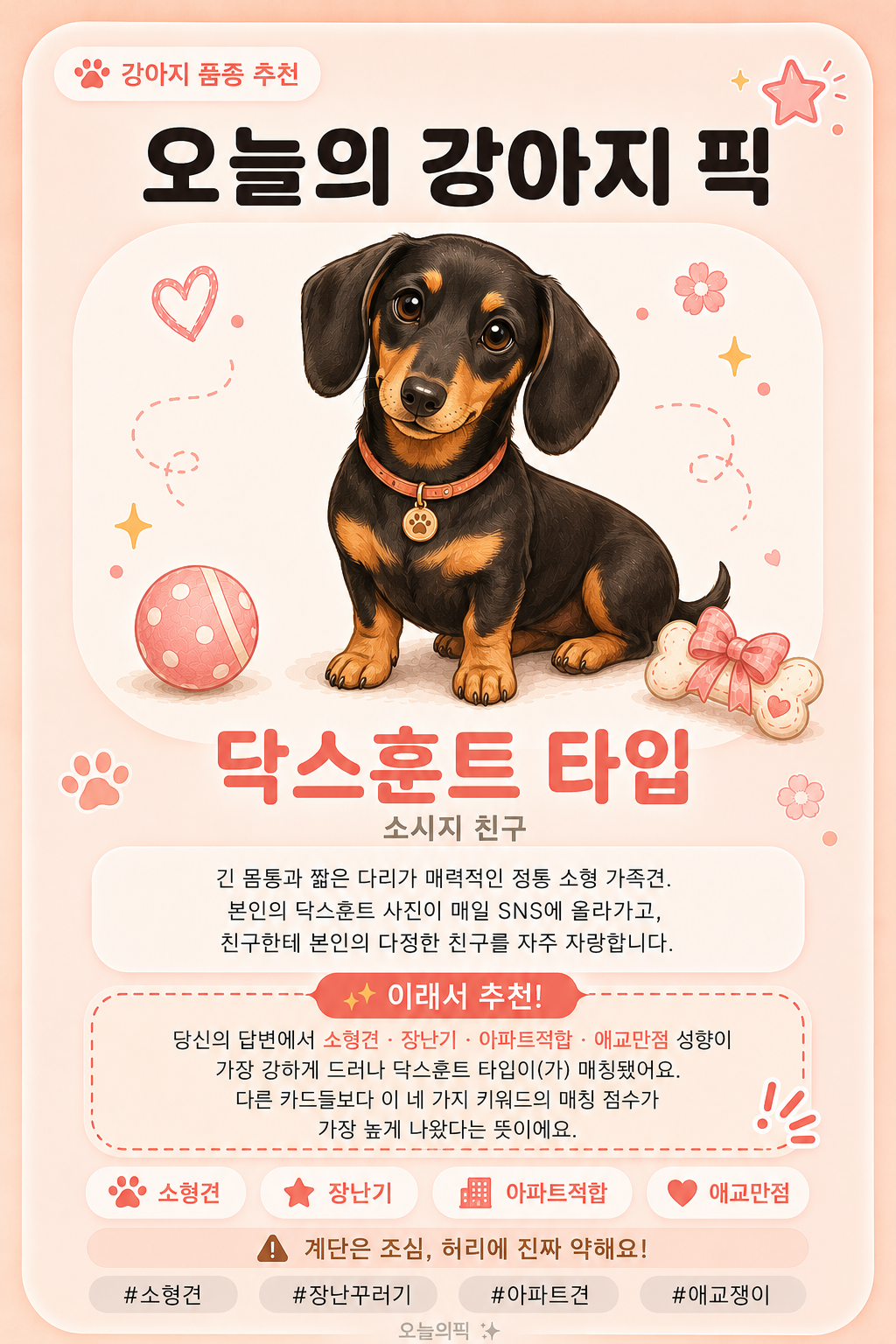 닥스훈트 타입 카드 이미지