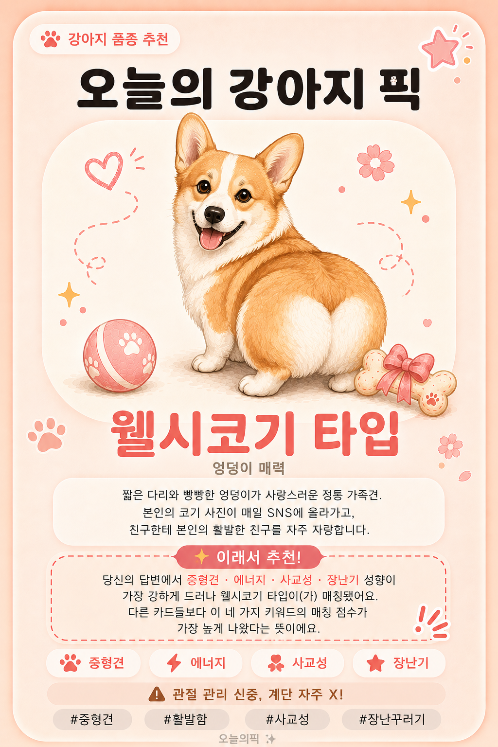 웰시코기 타입 카드 이미지