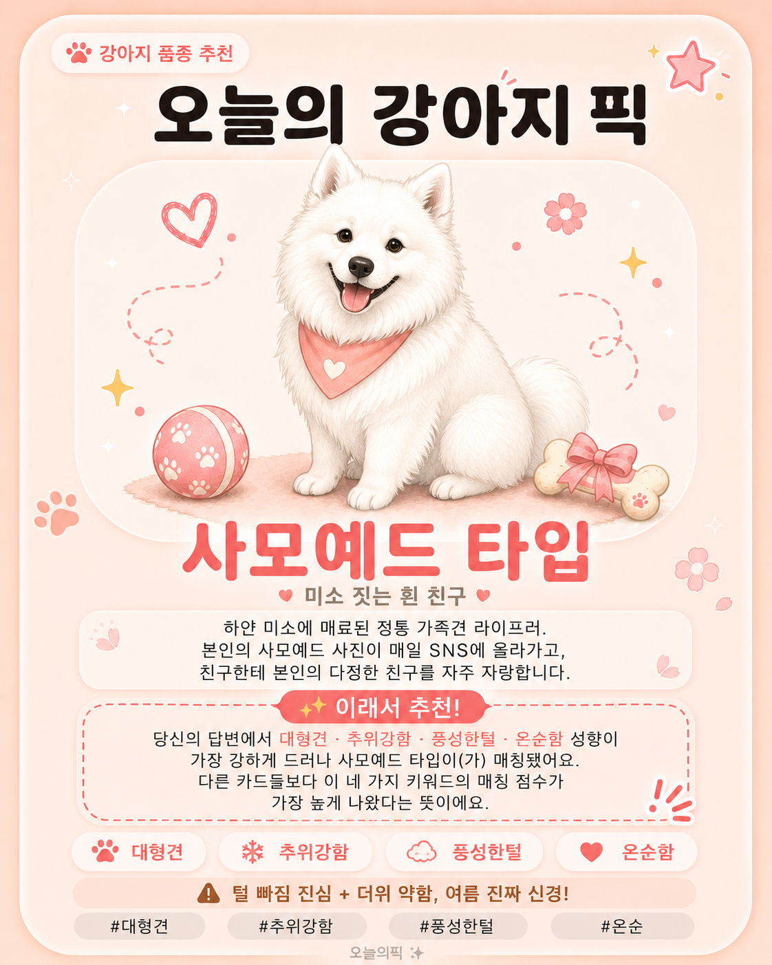 사모예드 타입 카드 이미지