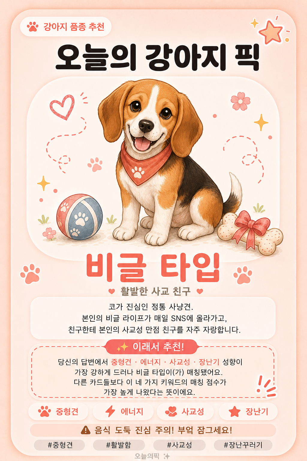 비글 타입 카드 이미지