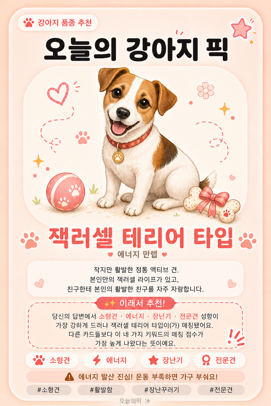 잭러셀 테리어 타입 카드 이미지