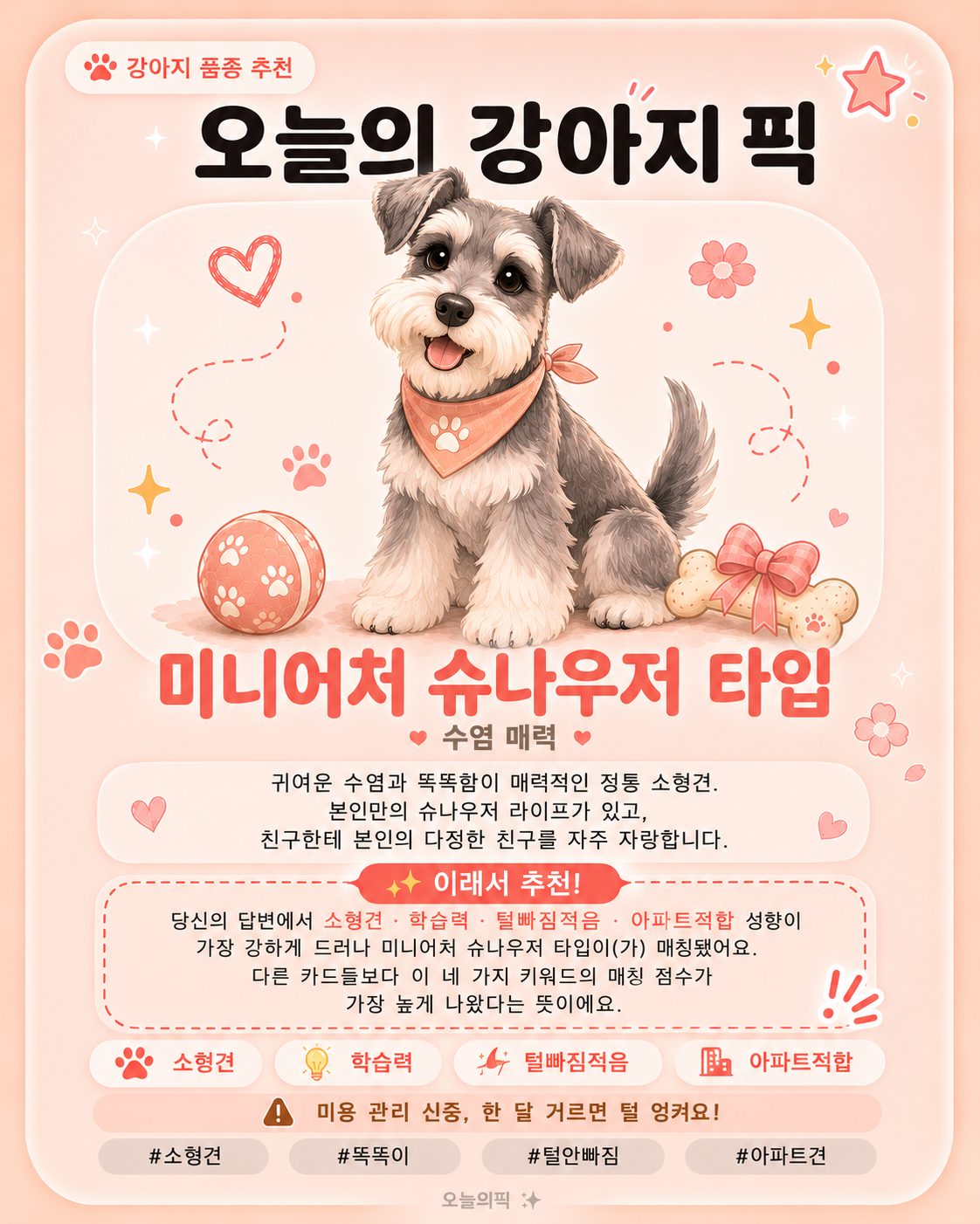 미니어처 슈나우저 타입 카드 이미지