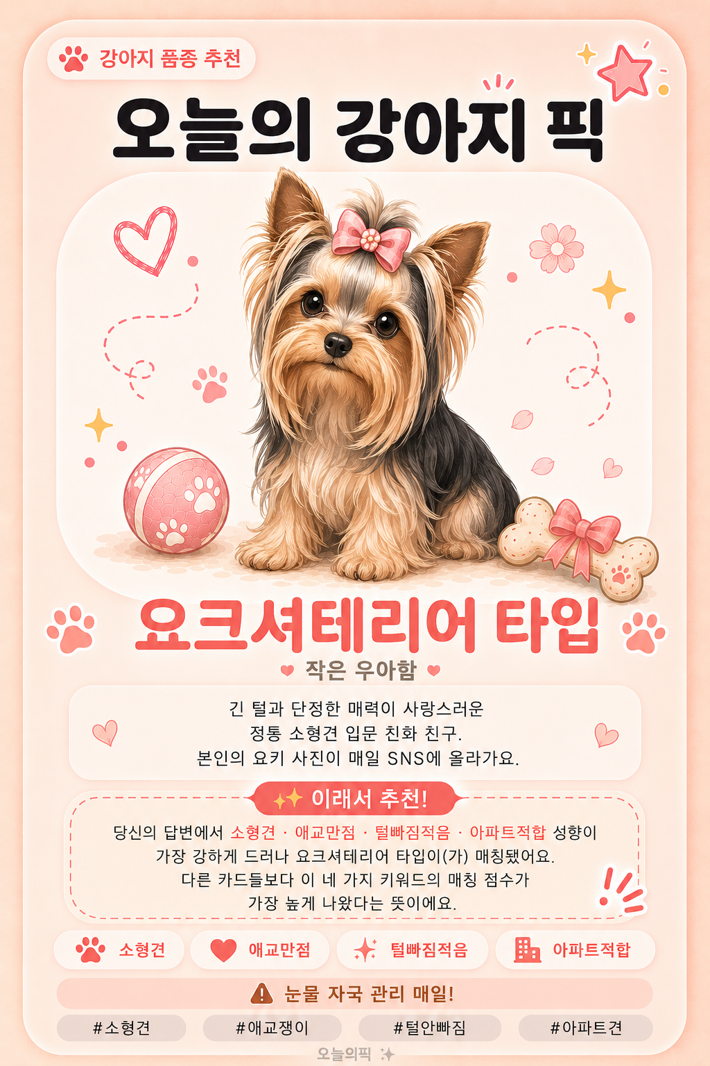 요크셔테리어 타입 카드 이미지