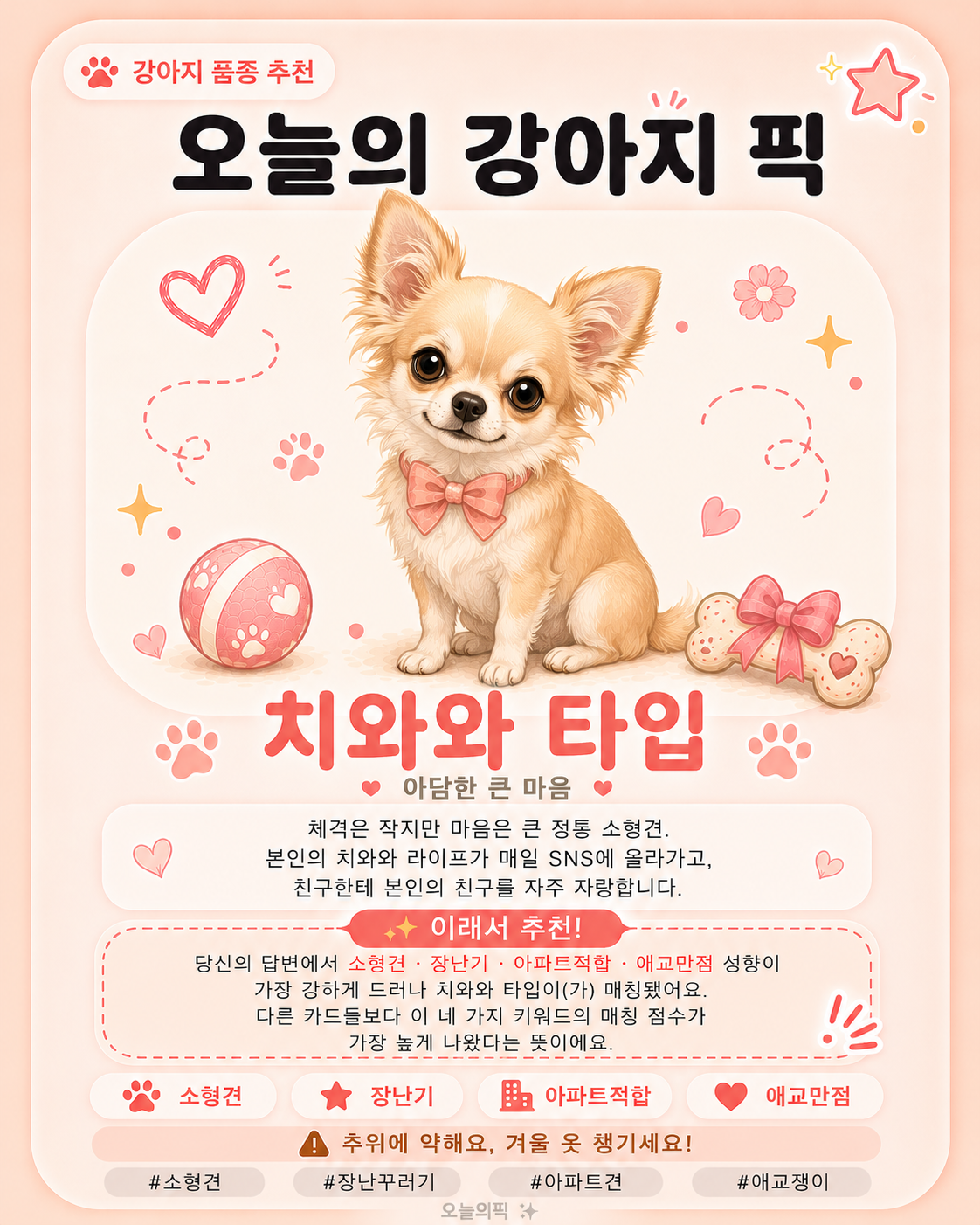 치와와 타입 카드 이미지