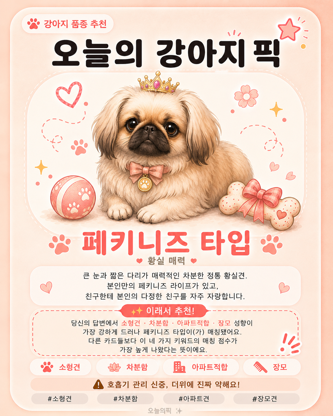 페키니즈 타입 카드 이미지