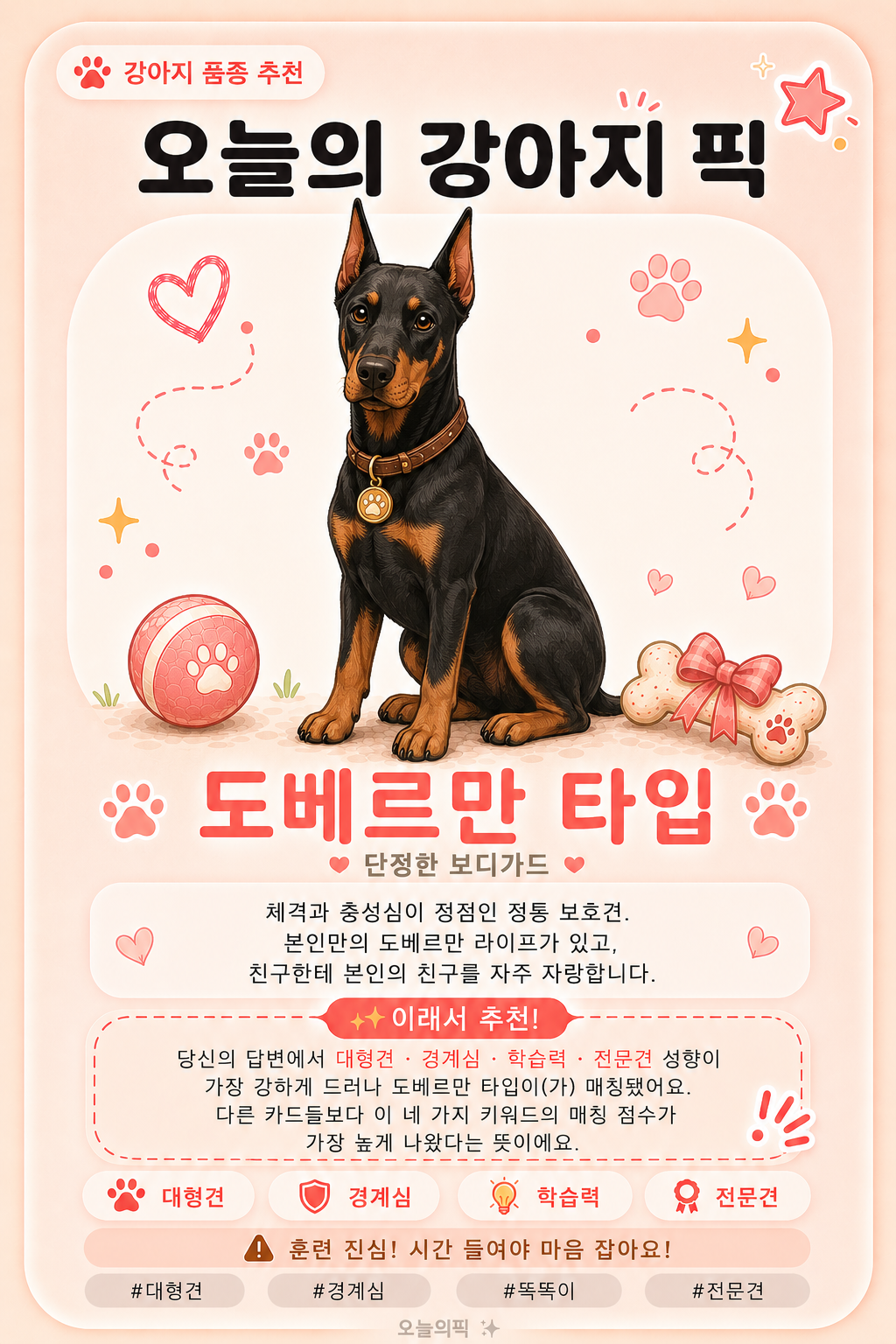 도베르만 타입 카드 이미지