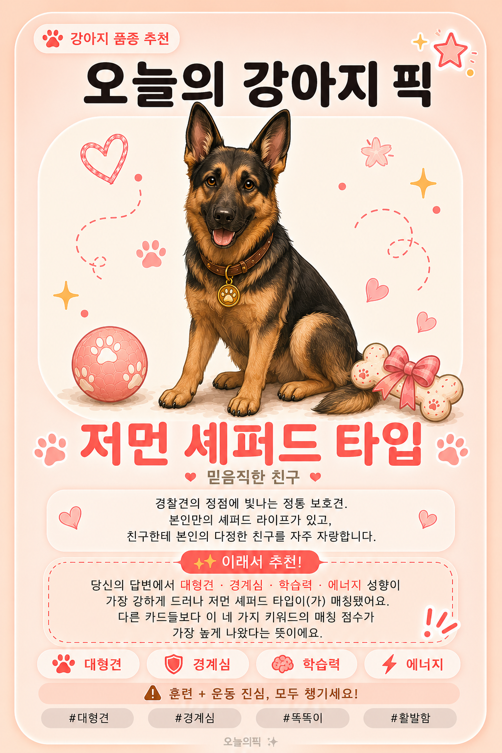 저먼 셰퍼드 타입 카드 이미지