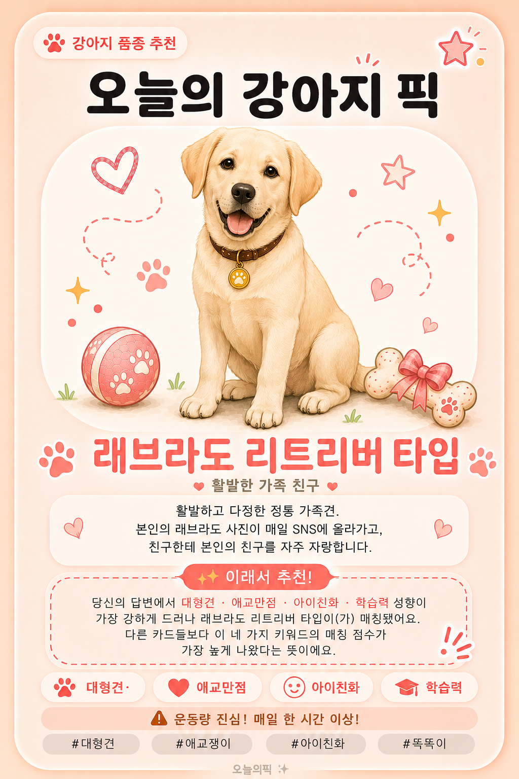 래브라도 리트리버 타입 카드 이미지
