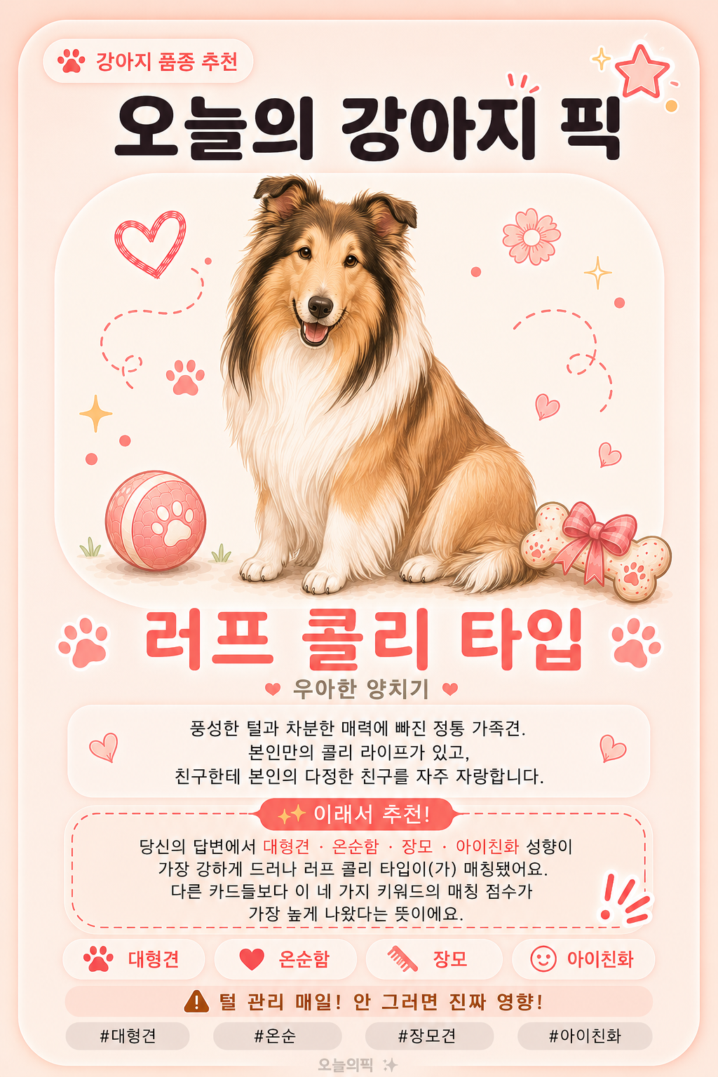러프 콜리 타입 카드 이미지