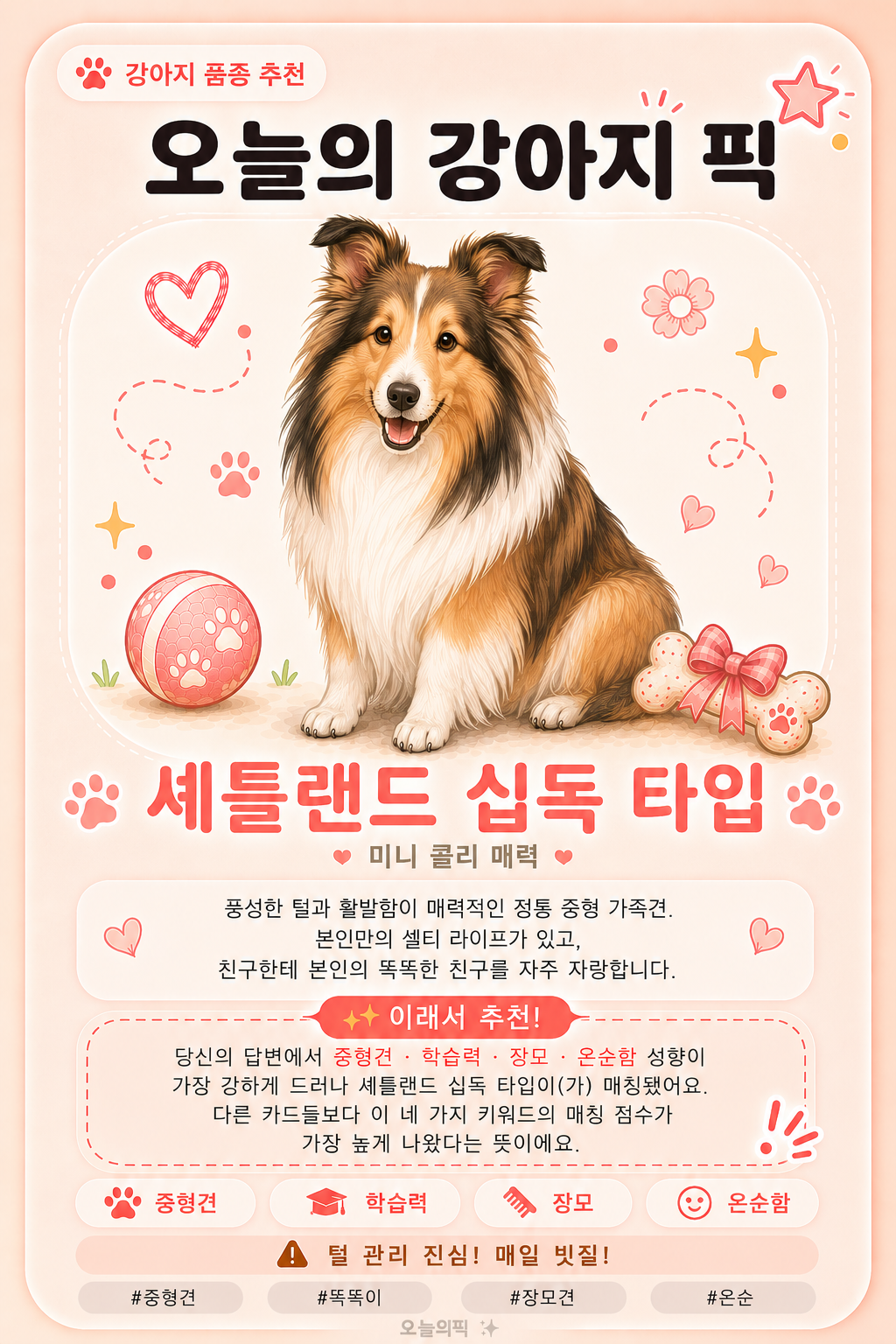 셰틀랜드 십독 타입 카드 이미지
