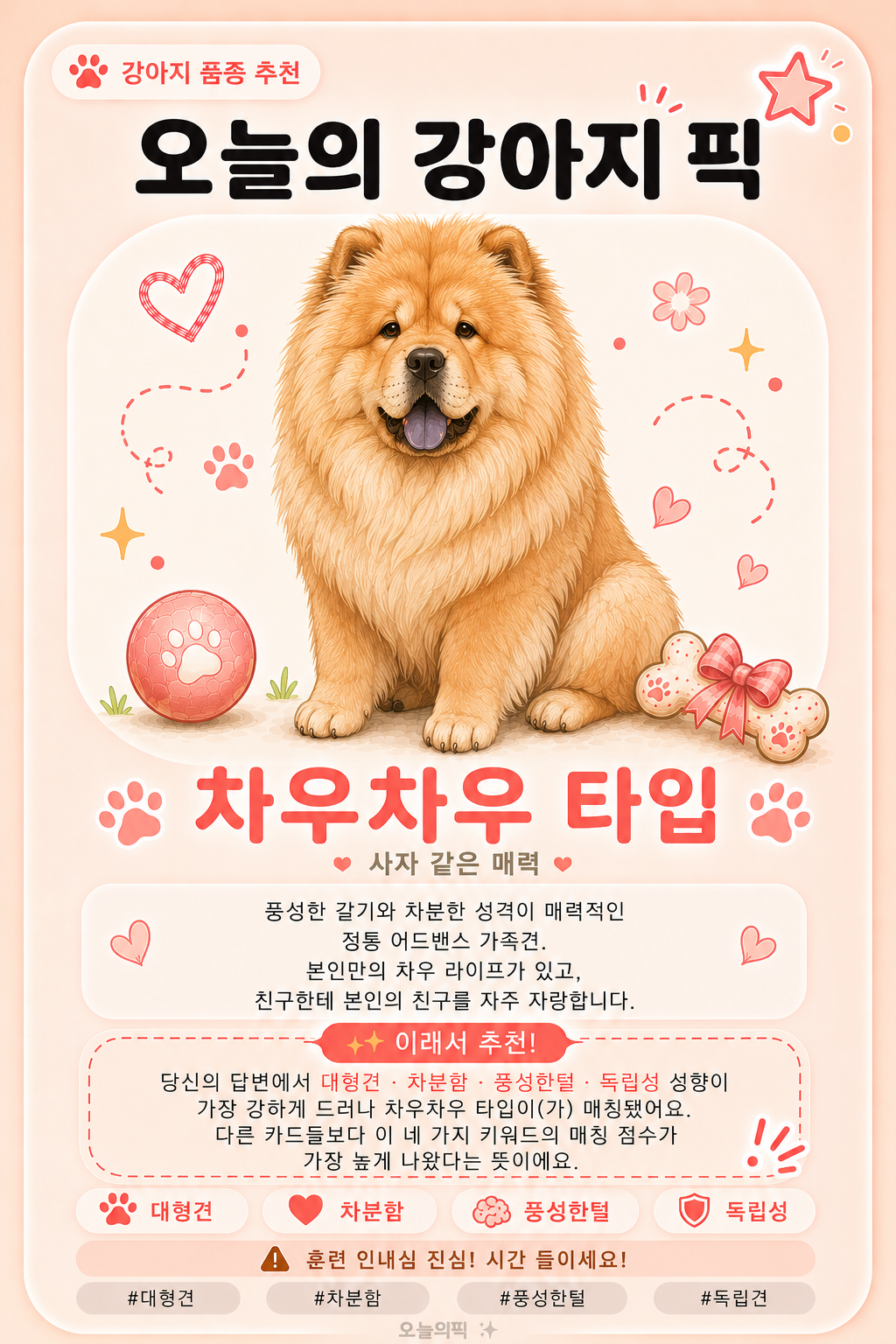 차우차우 타입 카드 이미지