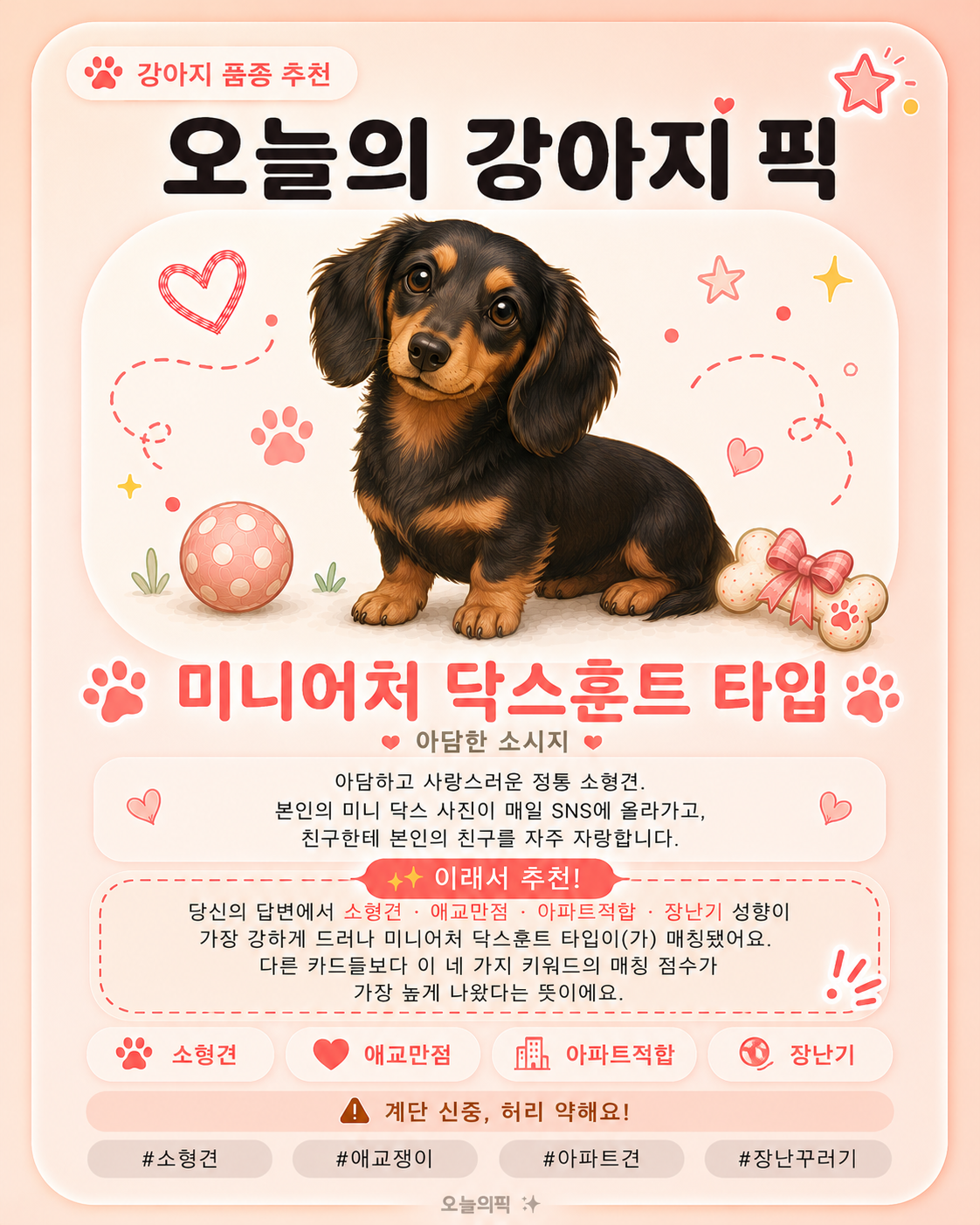 미니어처 닥스훈트 타입 카드 이미지
