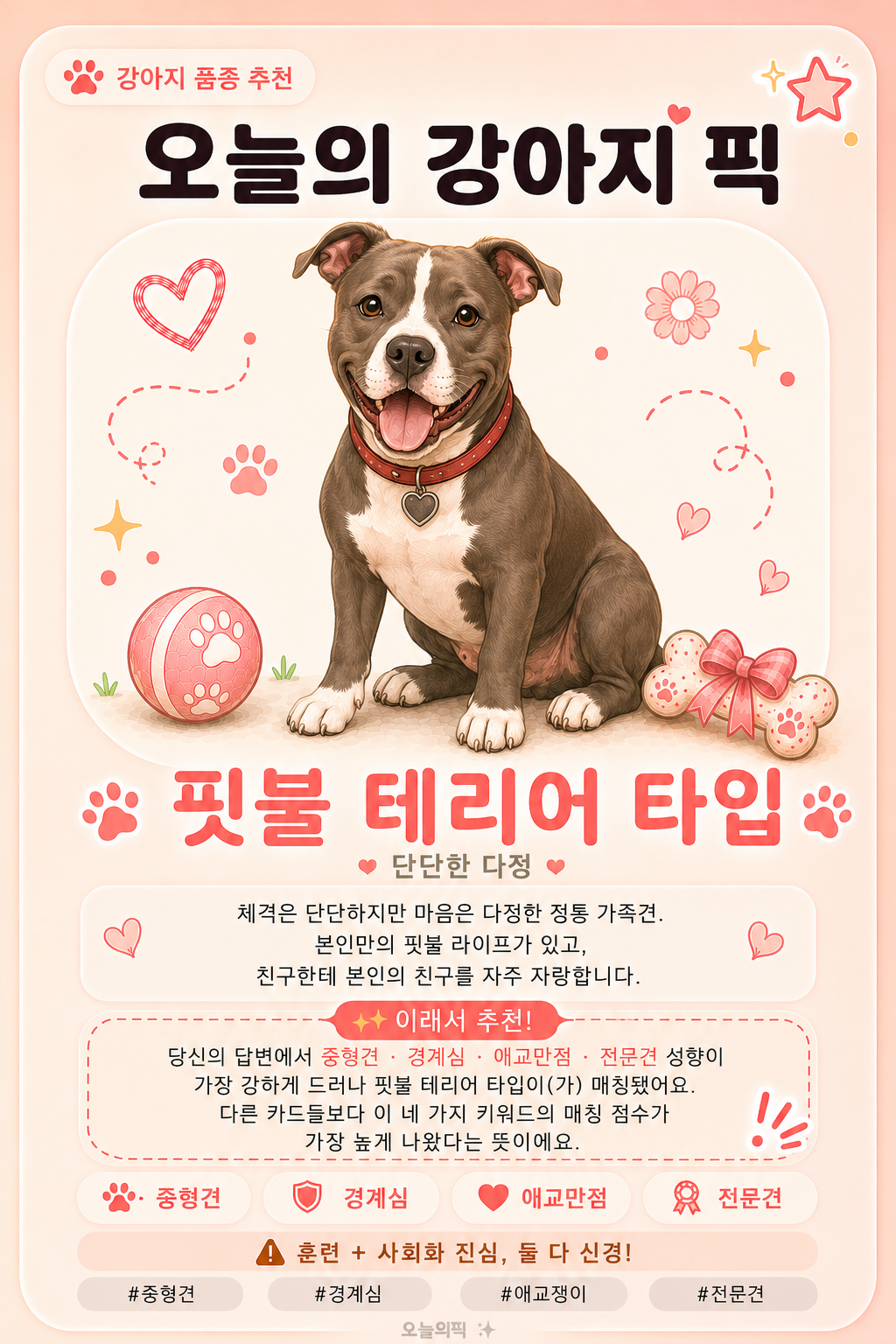 핏불 테리어 타입 카드 이미지
