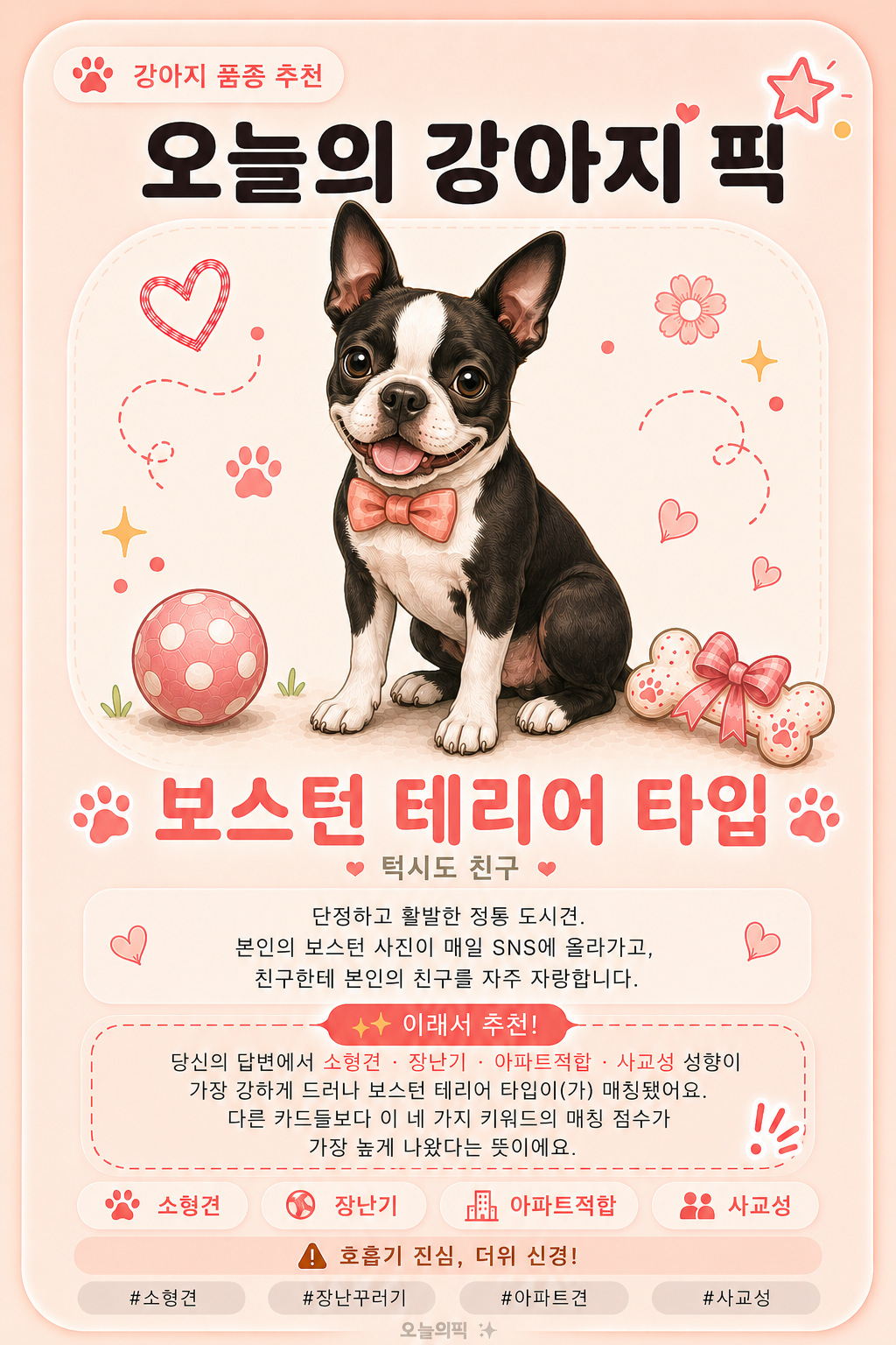 보스턴 테리어 타입 카드 이미지