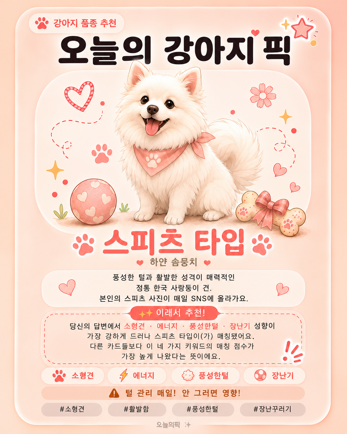 스피츠 타입 카드 이미지