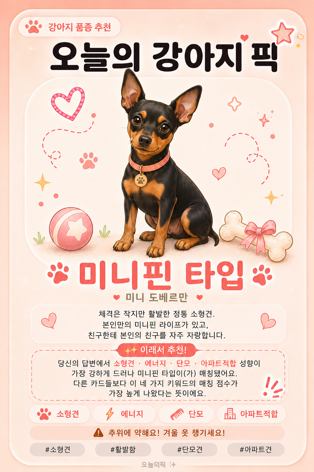 미니핀 타입 카드 이미지
