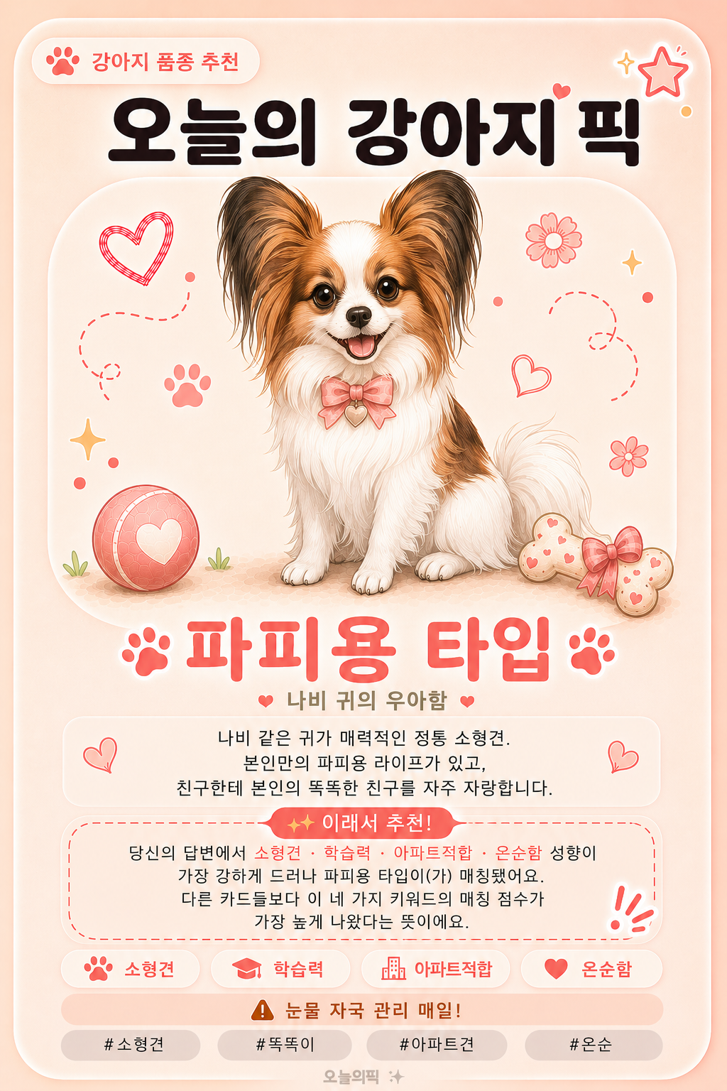 파피용 타입 카드 이미지