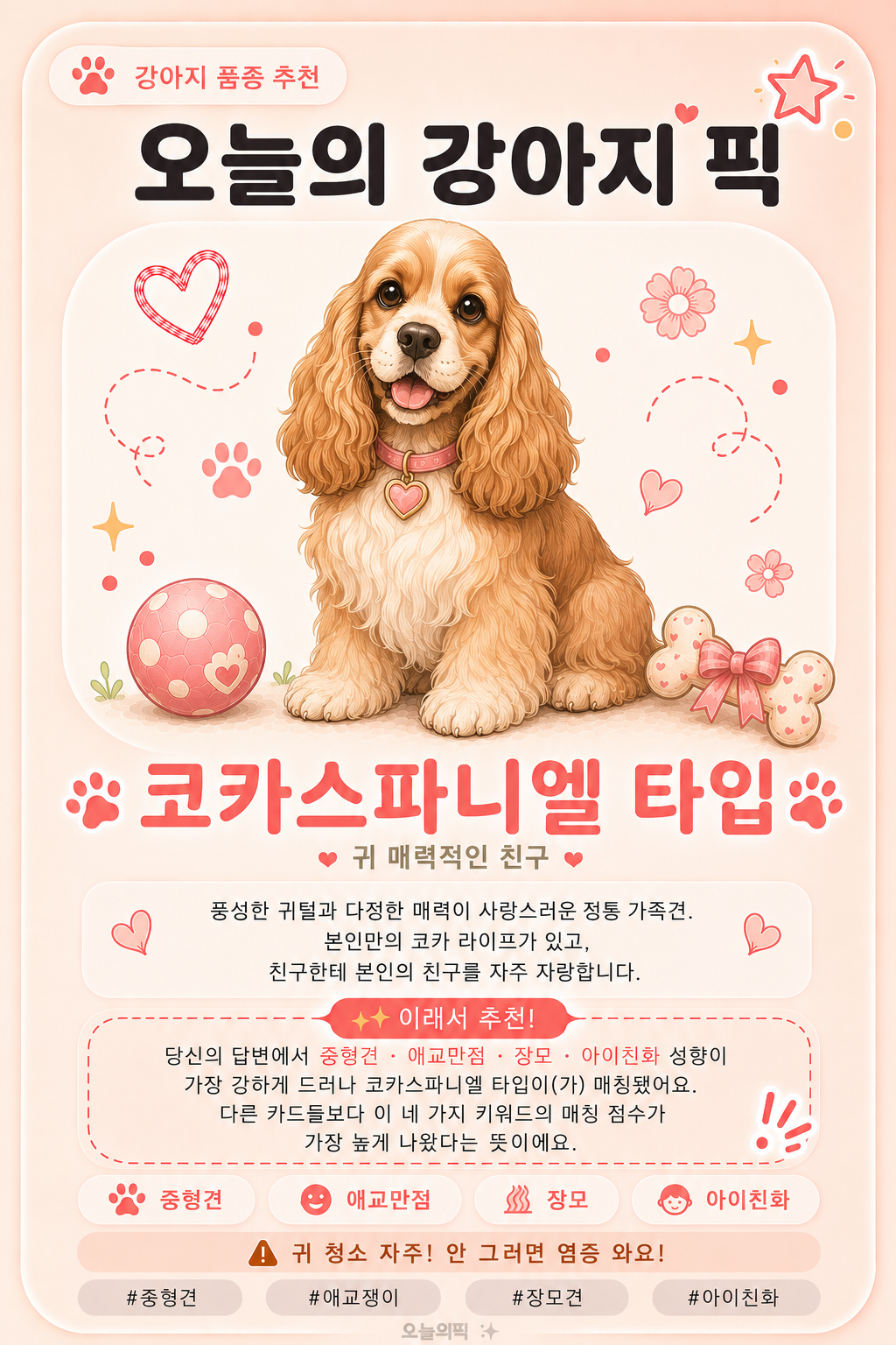 코카스파니엘 타입 카드 이미지