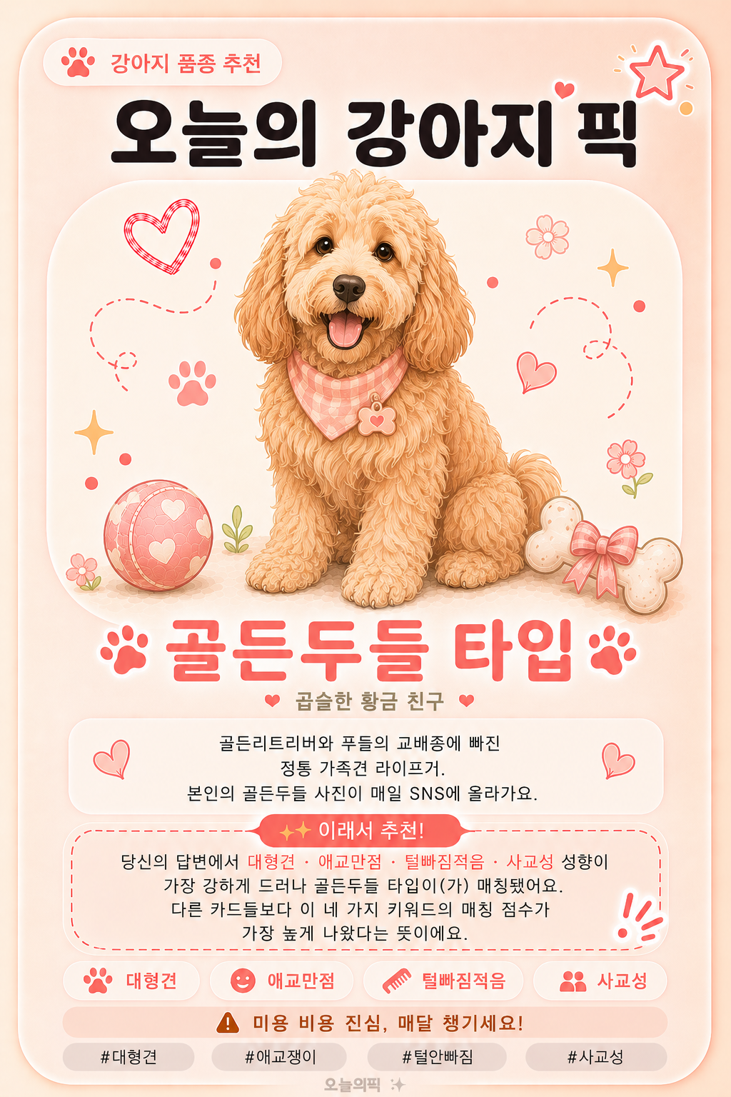 골든두들 타입 카드 이미지
