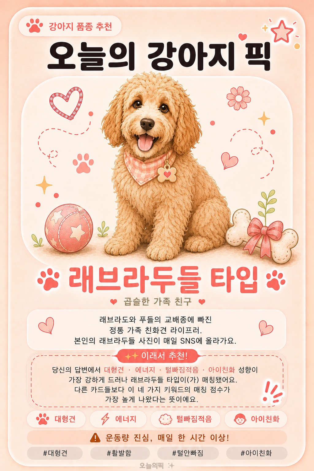 래브라두들 타입 카드 이미지