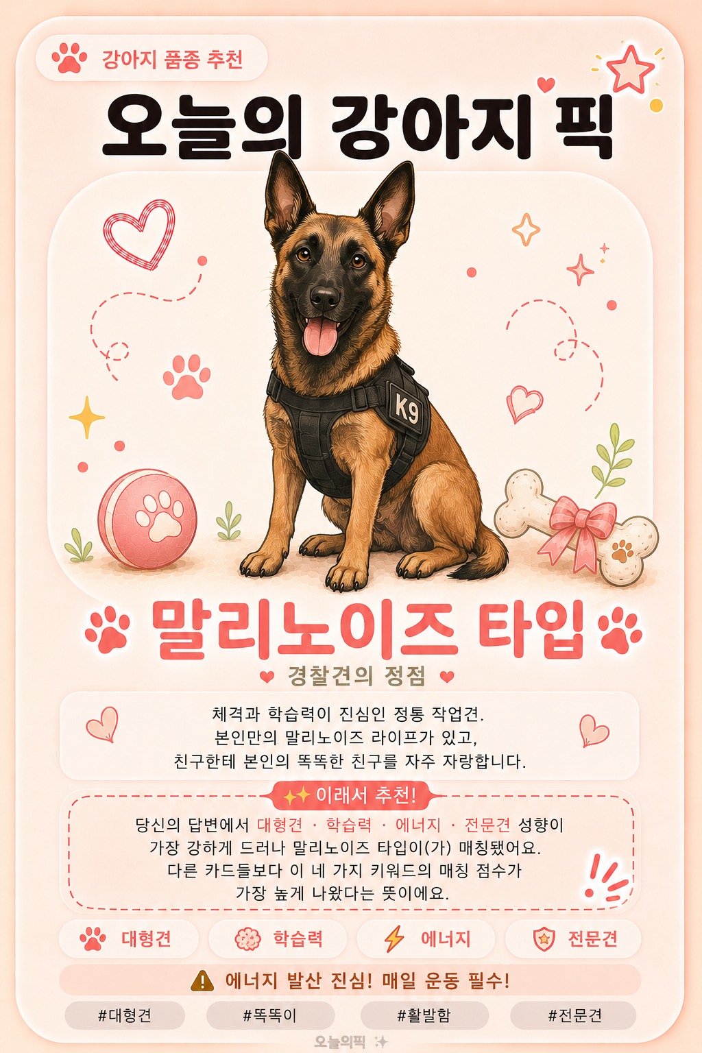 말리노이즈 타입 카드 이미지
