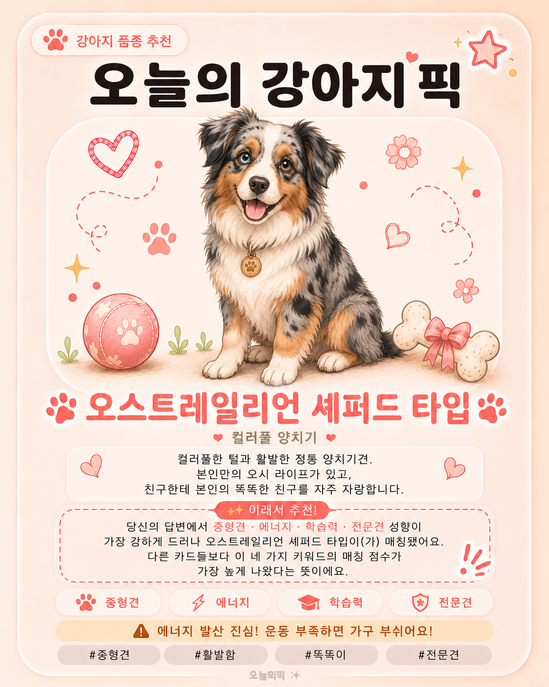 오스트레일리언 셰퍼드 타입 카드 이미지