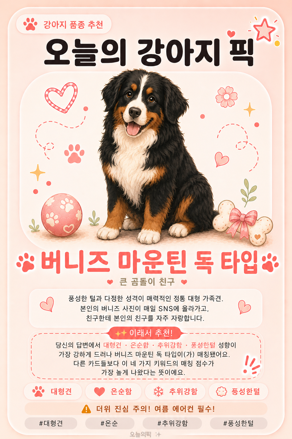 버니즈 마운틴 독 타입 카드 이미지