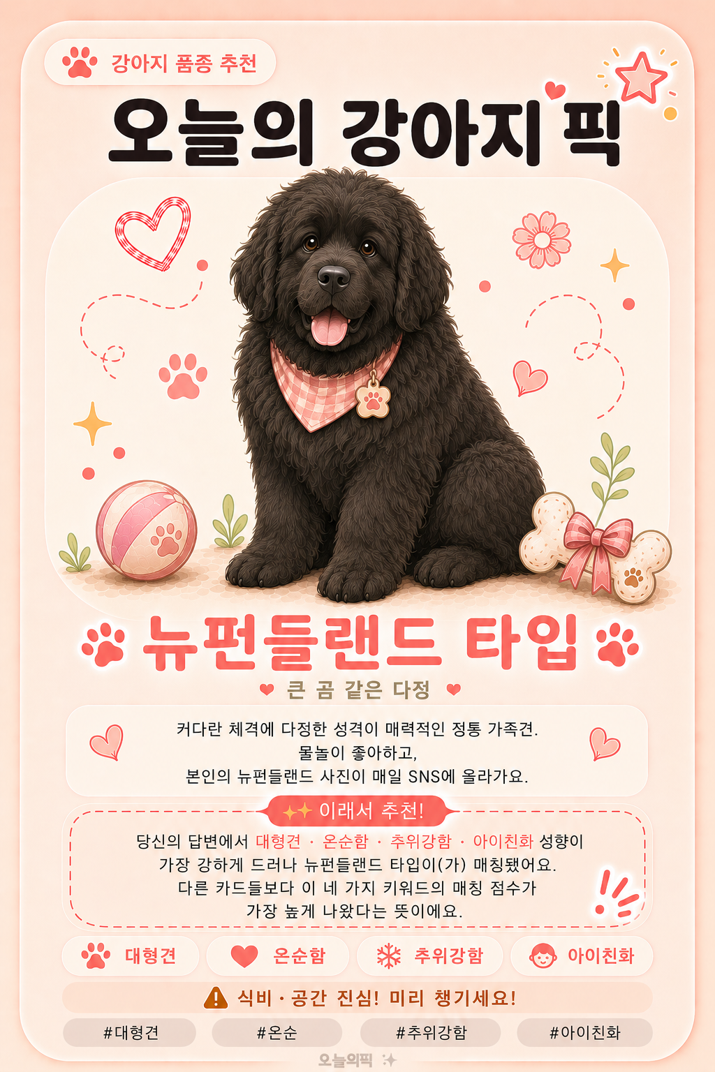 뉴펀들랜드 타입 카드 이미지
