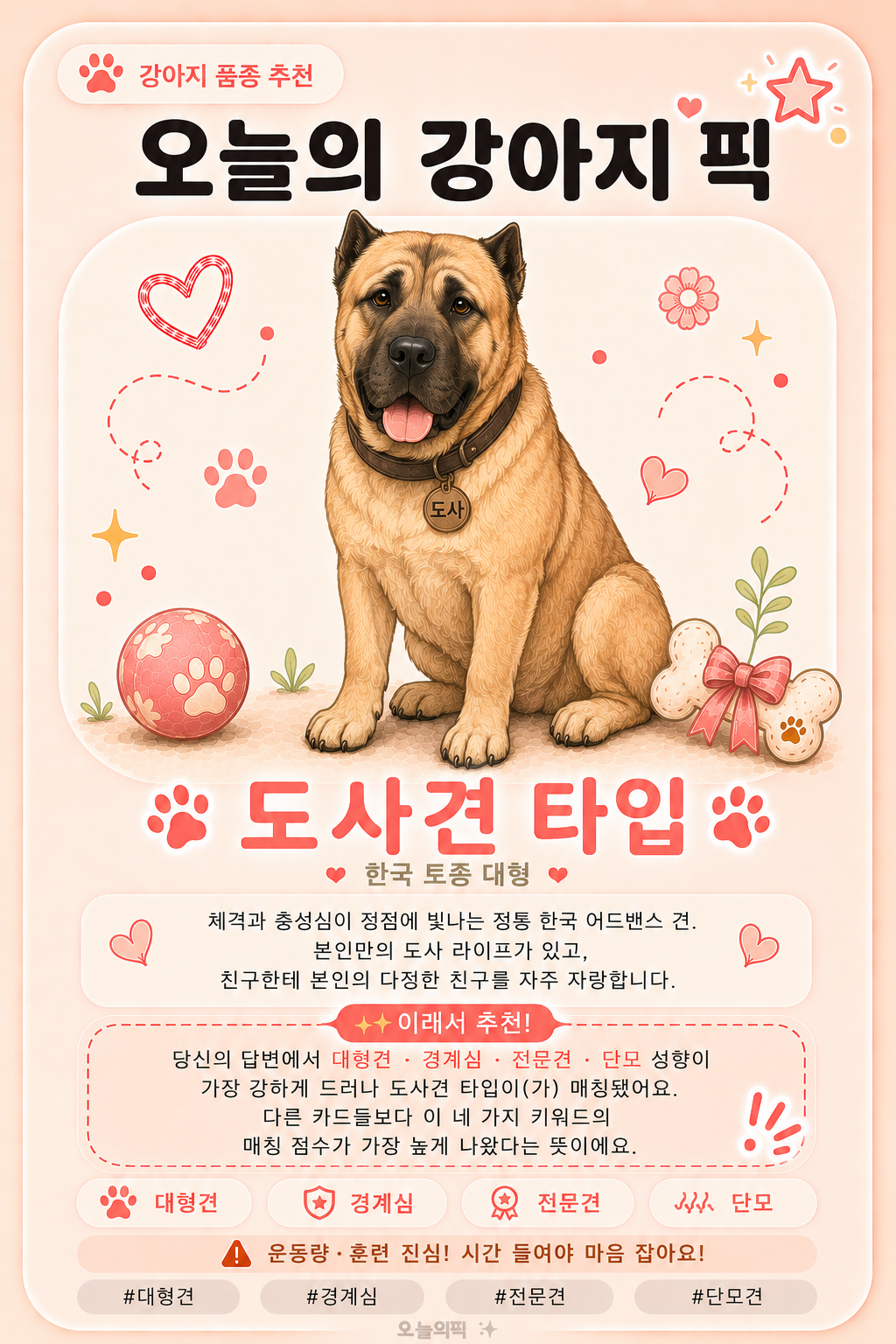 도사견 타입 카드 이미지