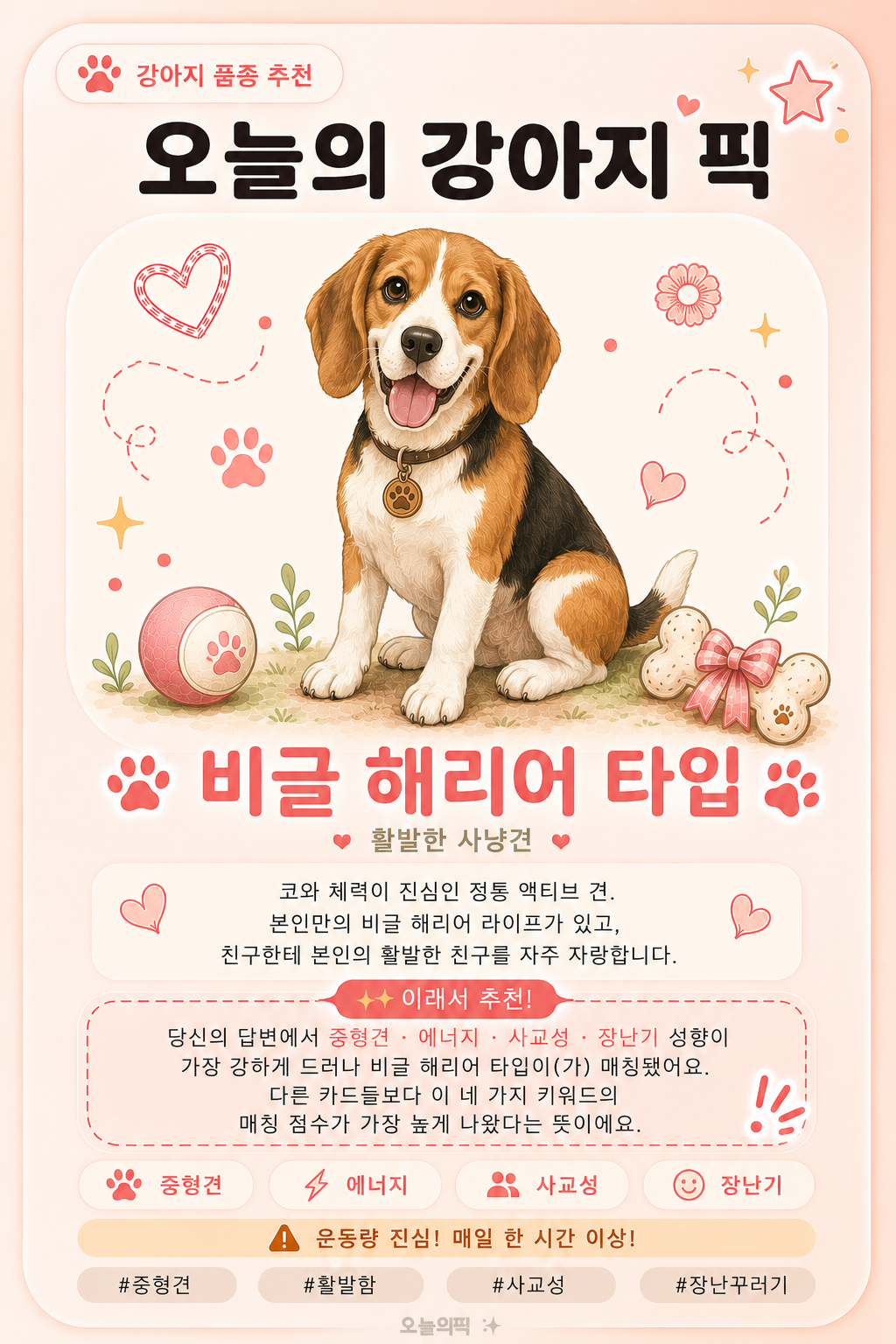 비글 해리어 타입 카드 이미지
