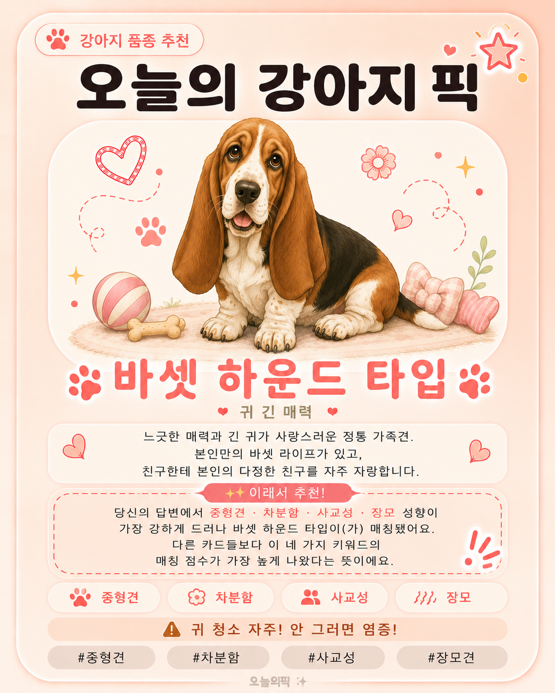 바셋 하운드 타입 카드 이미지