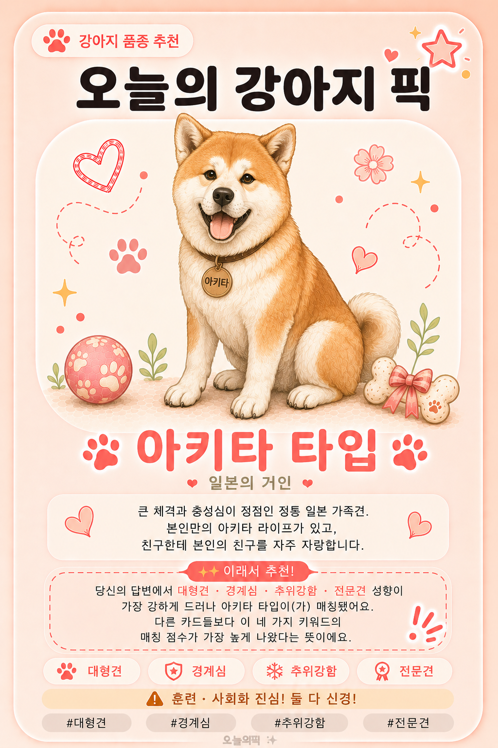 아키타 타입 카드 이미지